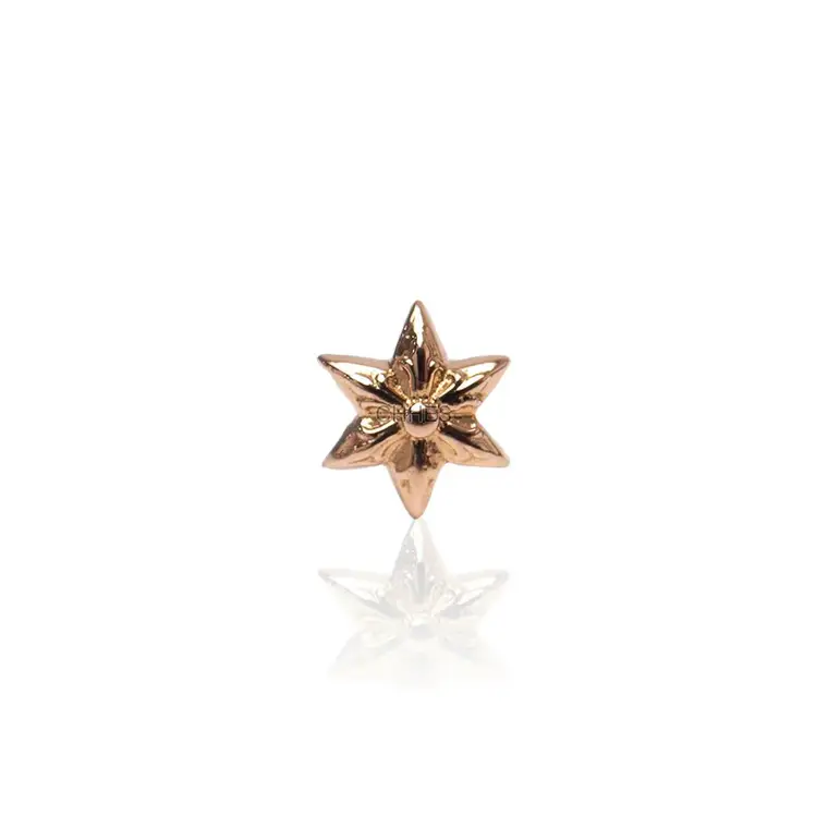 Chrome hearts 克罗心 22K黄金小号六芒星耳钉