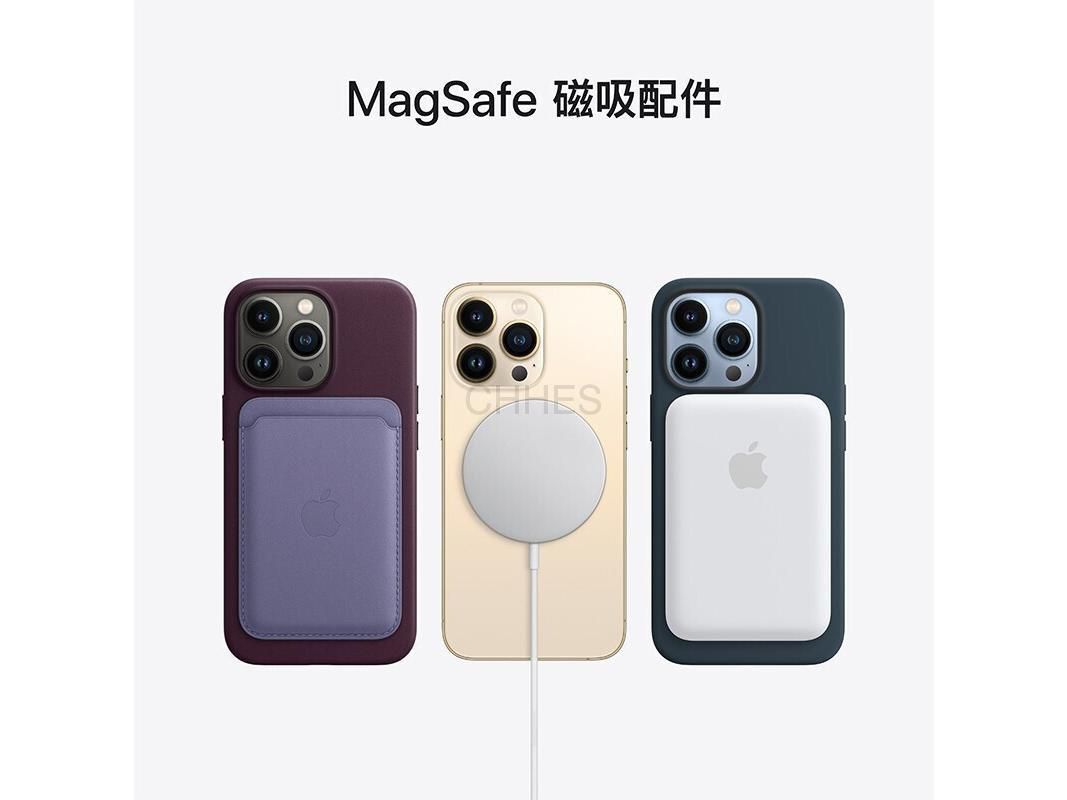 苹果苹果iPhone 13 Pro（128GB/256GB/512GB/1TB/全网通/5G版） 苍岭