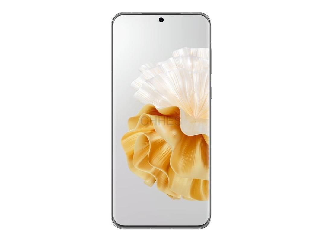 Huawei P60 Pro 12/256G 美品 おまけ付 Google導入済 2023 Huawei P60 Pro 4G - 12GB+512GB, Snapdragon 8+ Gen 1